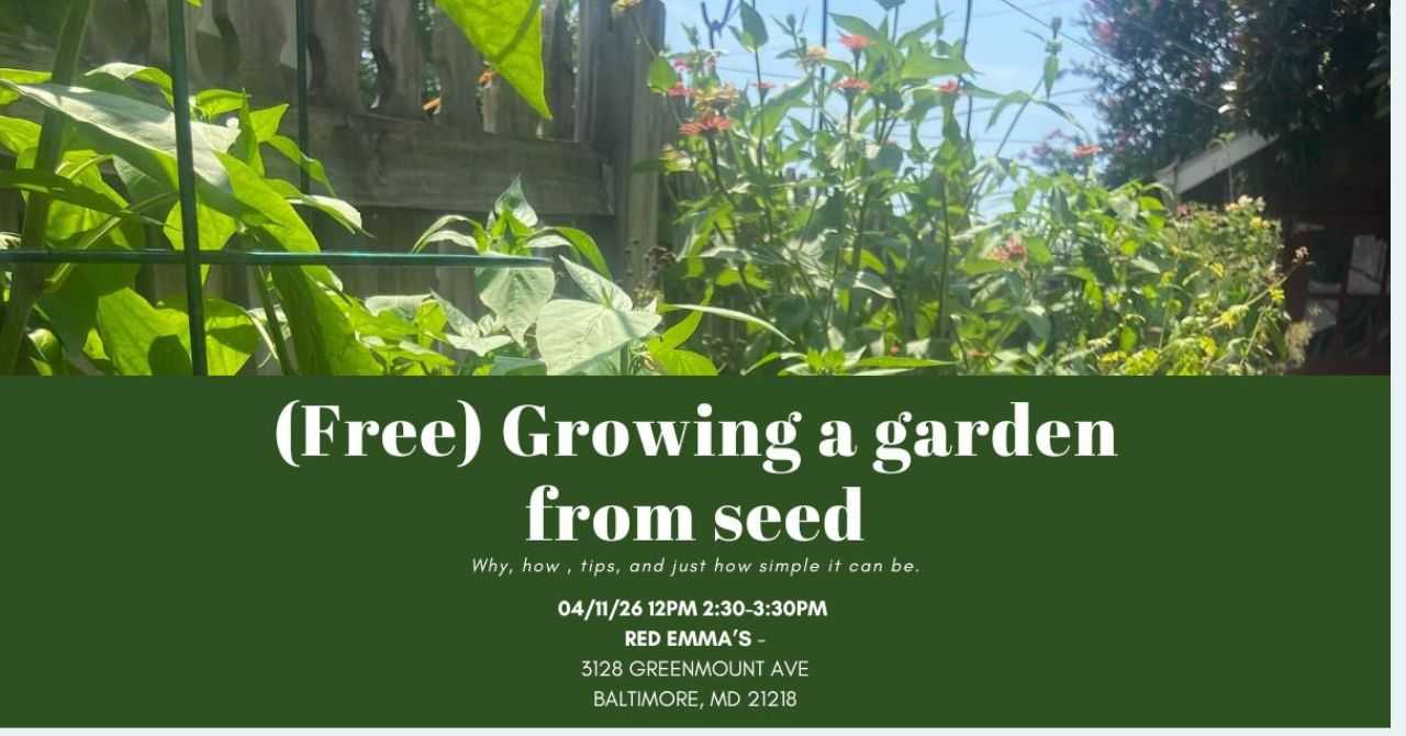 Growing a Garden from Seed